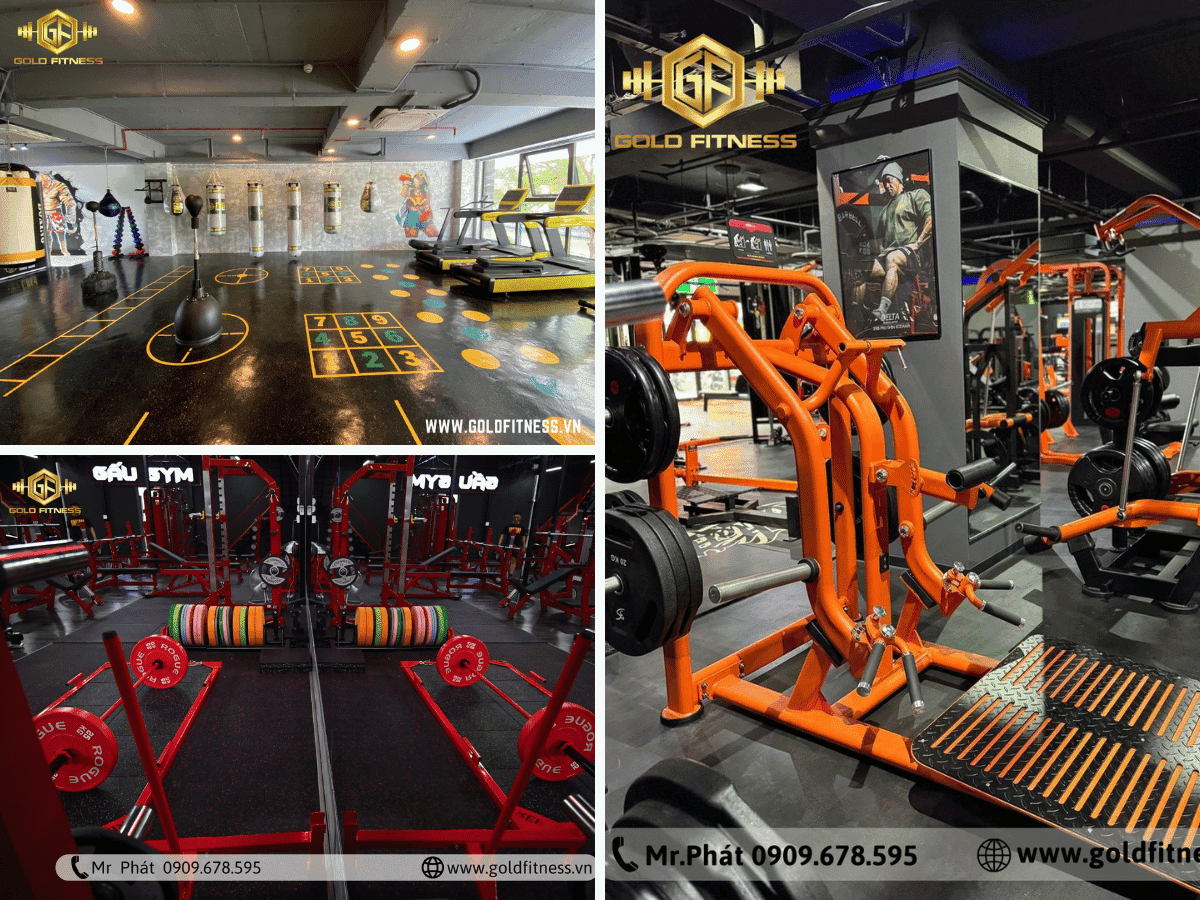 Thiết kế phòng tập gym hiện đại, năng động