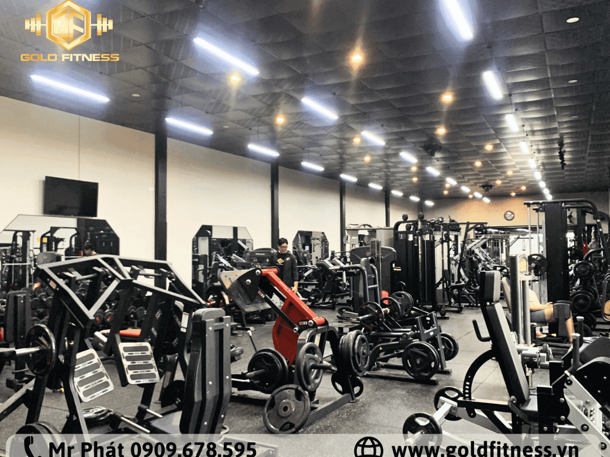 Gold Fitness cung cấp thiết bị gym chính hãng, giá tốt