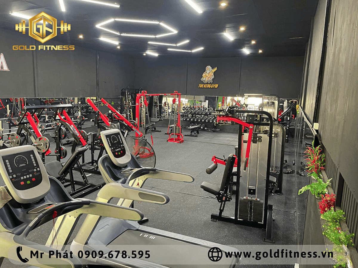 Dịch vụ thi công thiết kế phòng gym trọn gói