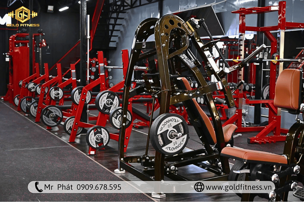 Dịch vụ setup phòng tập gym Đồng Tháp trọn gói