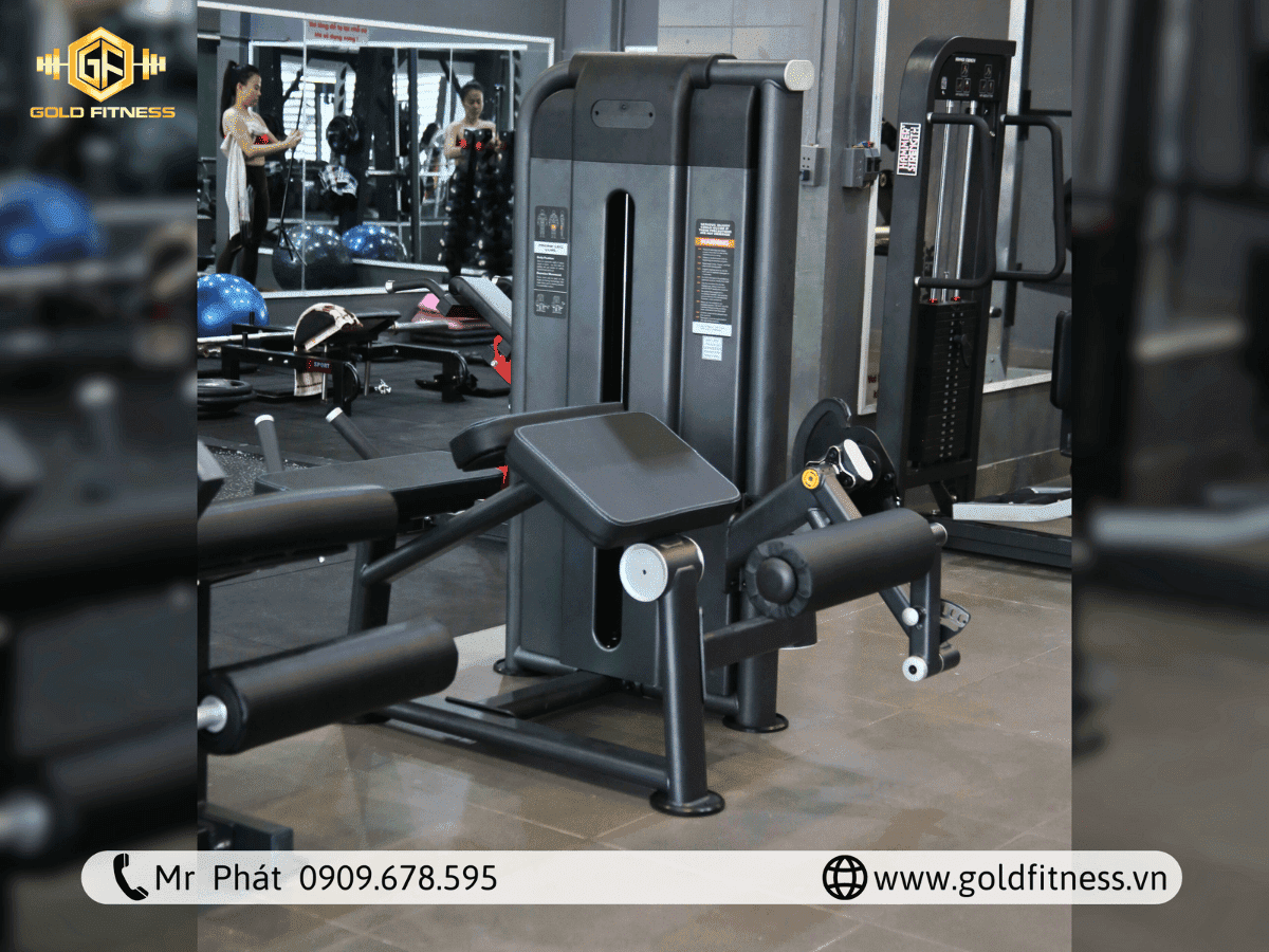 Gold Fitness cung cấp các dòng tập thể thao chính hãng