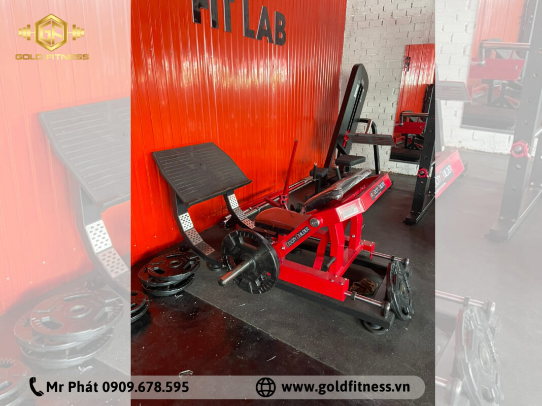 Fit Lab Gym