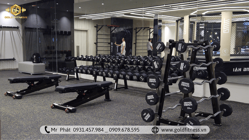 Một bản thiết kế phòng gym chuyên nghiệp chính là yếu tố tạo ra sự khác biệt