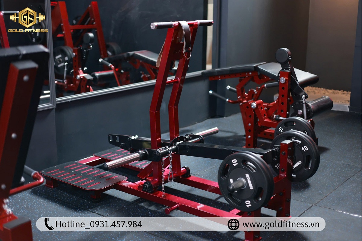 Mở Phòng Gym Cần Gì - Quy trình setup chuyên nghiệp cùng GoldFitness