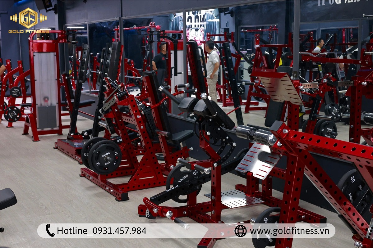Mở Phòng Gym Cần Gì để thành công - Giải pháp thiết bị GoldFitness