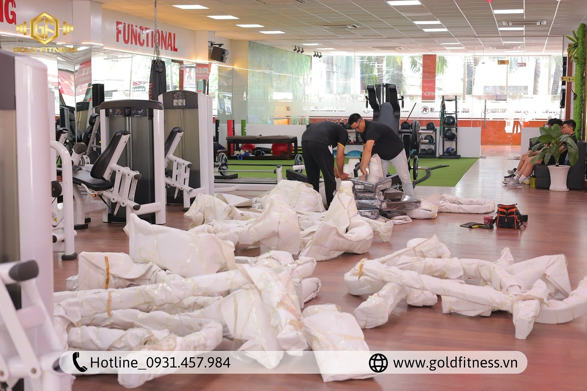 Quy Trình Thiết Kế Phòng Gym GoldFitness