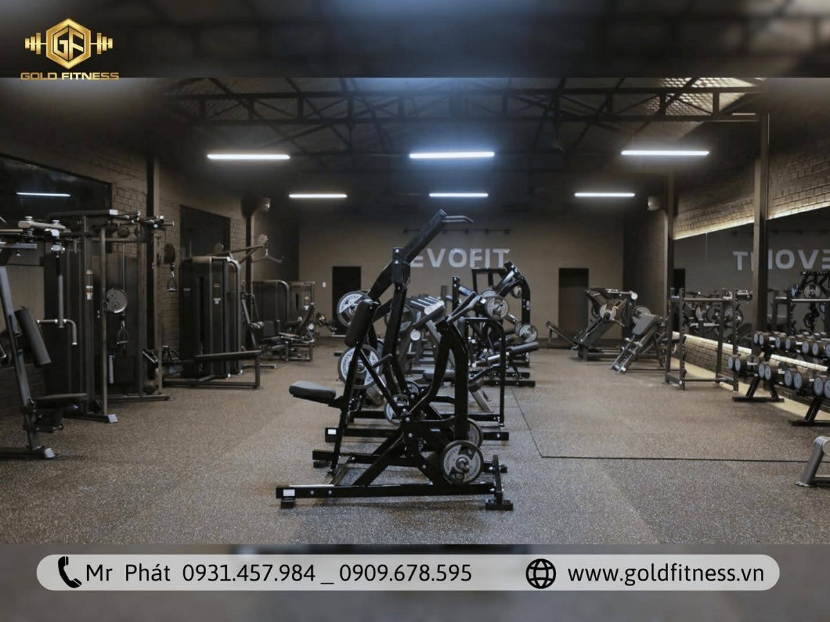 Quy Trình Thiết Kế Phòng Gym Toàn Diện GoldFitness Từ A-Z