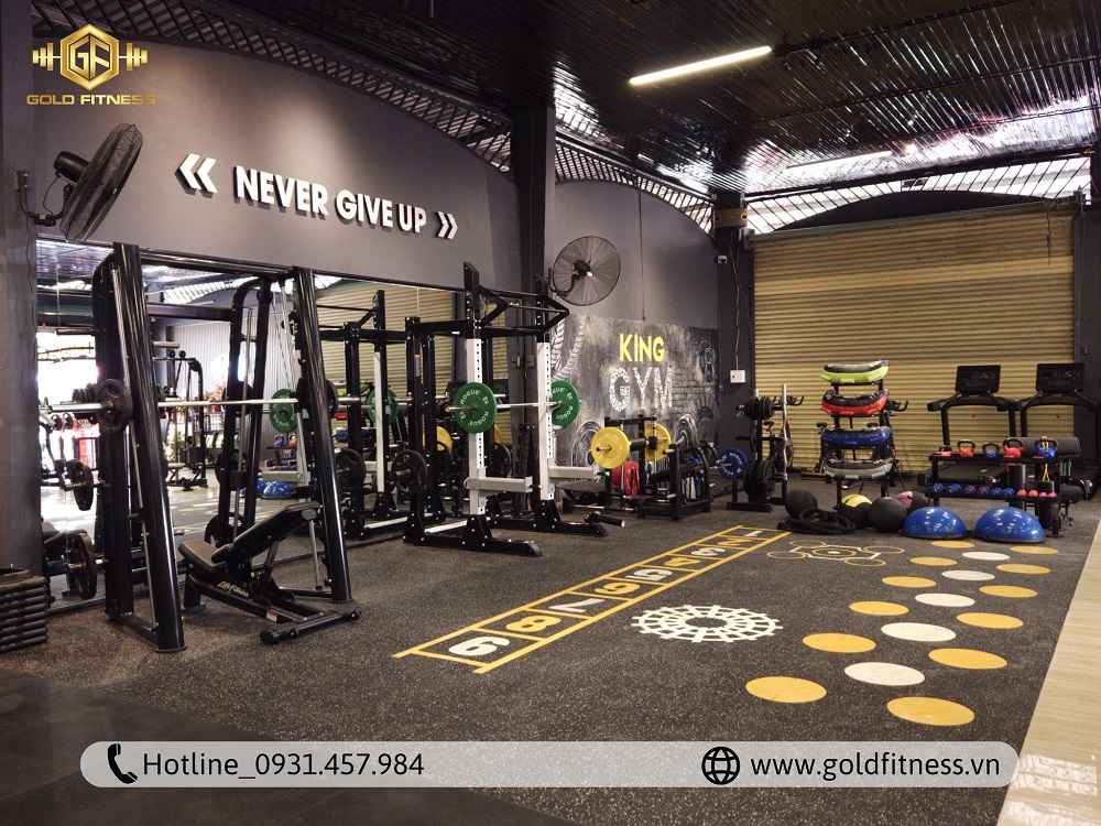 Setup Phòng Gym Cơ Bản - Giải Pháp Sinh Lời Nhanh Với Gold Fitness
