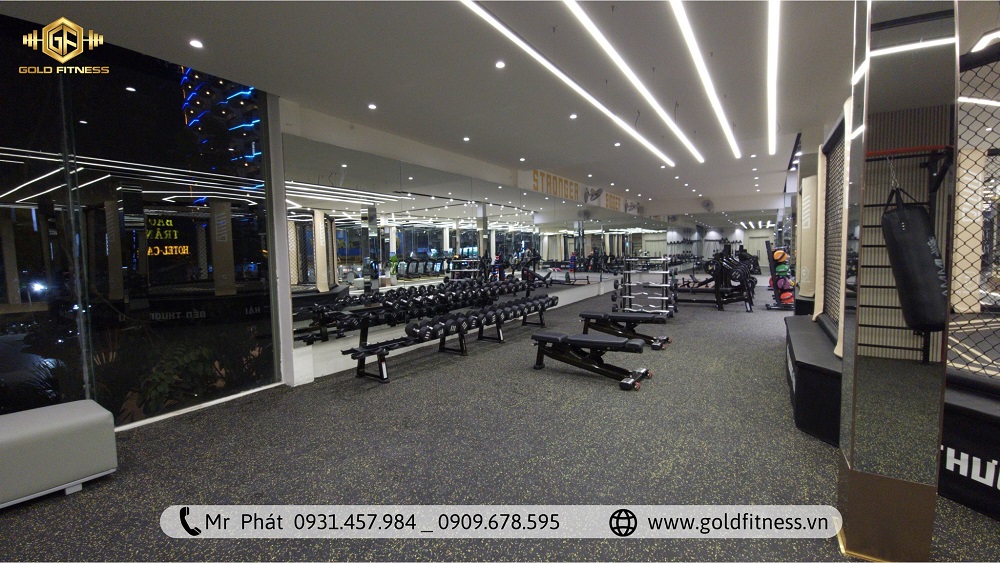 Setup Phòng Gym Cơ Bản - Kinh Nghiệm Tối Ưu Hóa Đầu Tư Từ GoldFitness