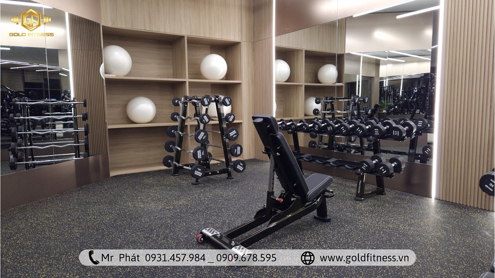 Setup Phòng Gym Cơ Bản - Lựa Chọn Thiết Bị Thiết Yếu Cùng Gold Fitness