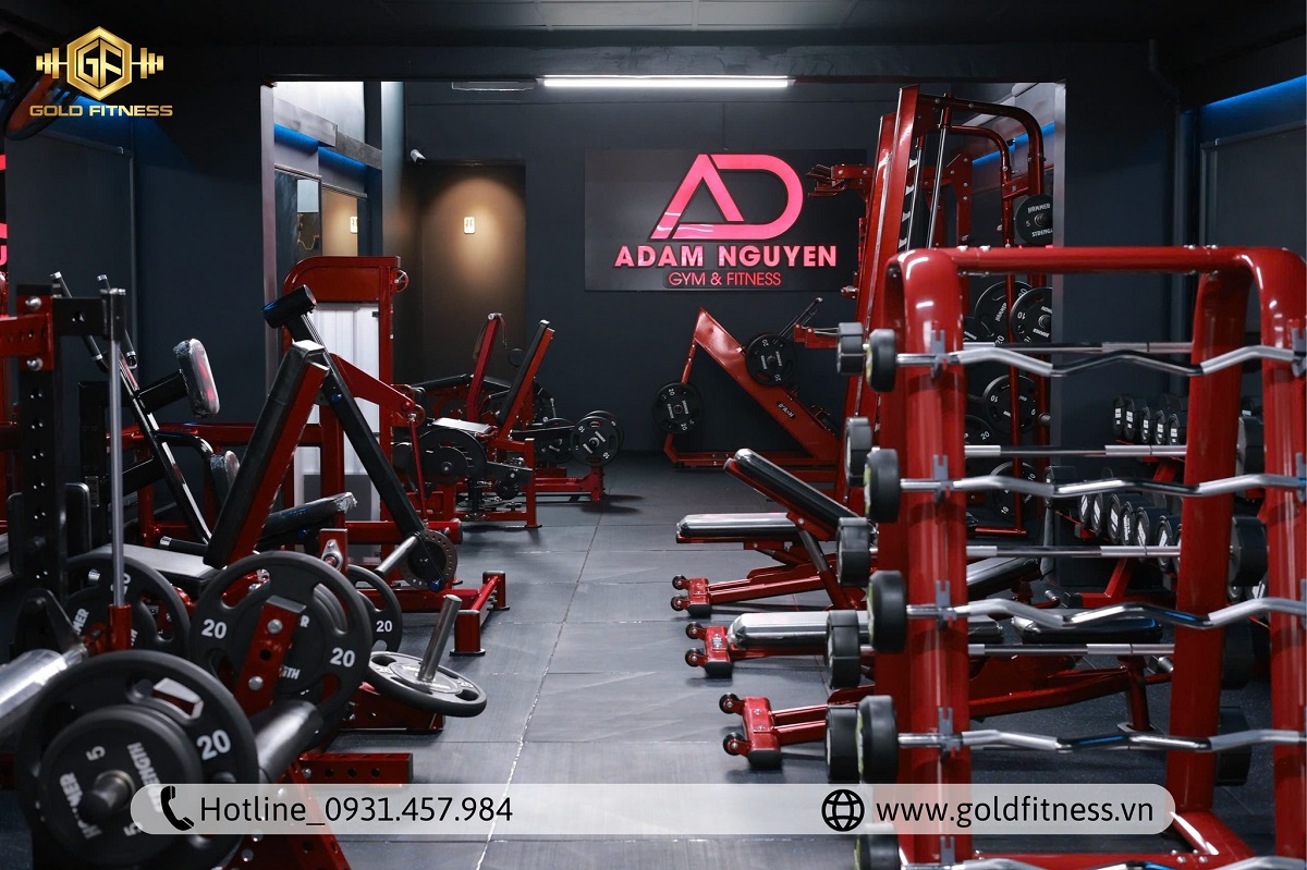 Thiết kế phòng tập gym công nghiệp, thiết bị chất lượng tại GoldFitness