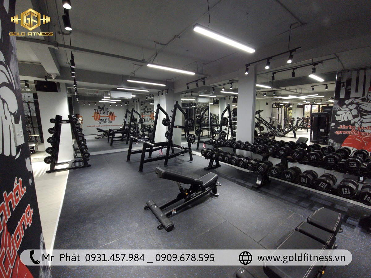 Đơn vị thiết kế phòng gym GoldFitness – Nền móng thành công cho thương hiệu của bạn