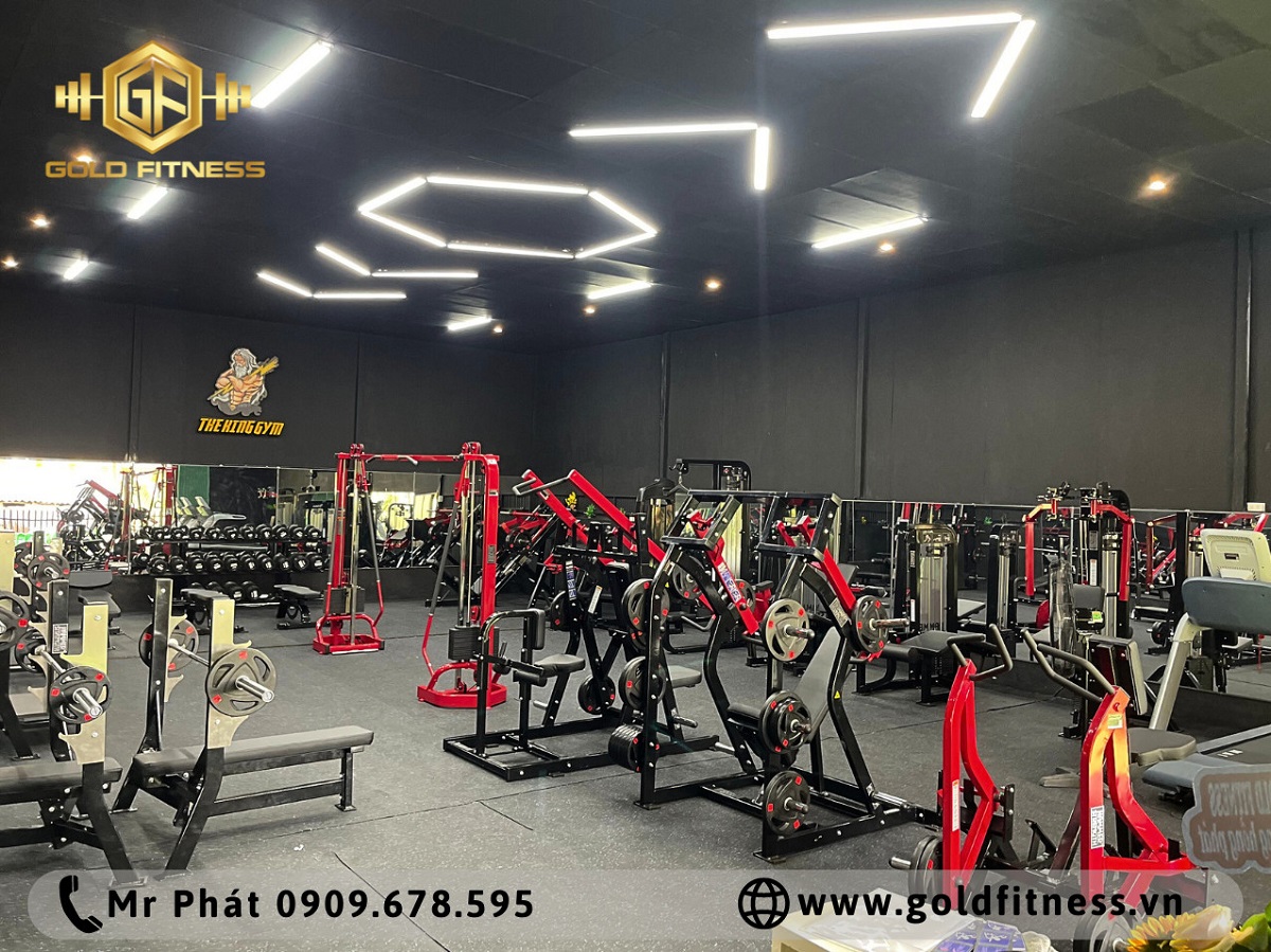 Phòng gym cao cấp với phòng gym bình dân: Lựa chọn đầu tư phù hợp.