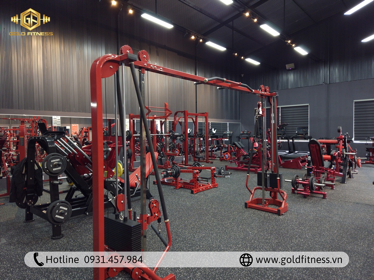 thiết kế phòng gym hiệu quả