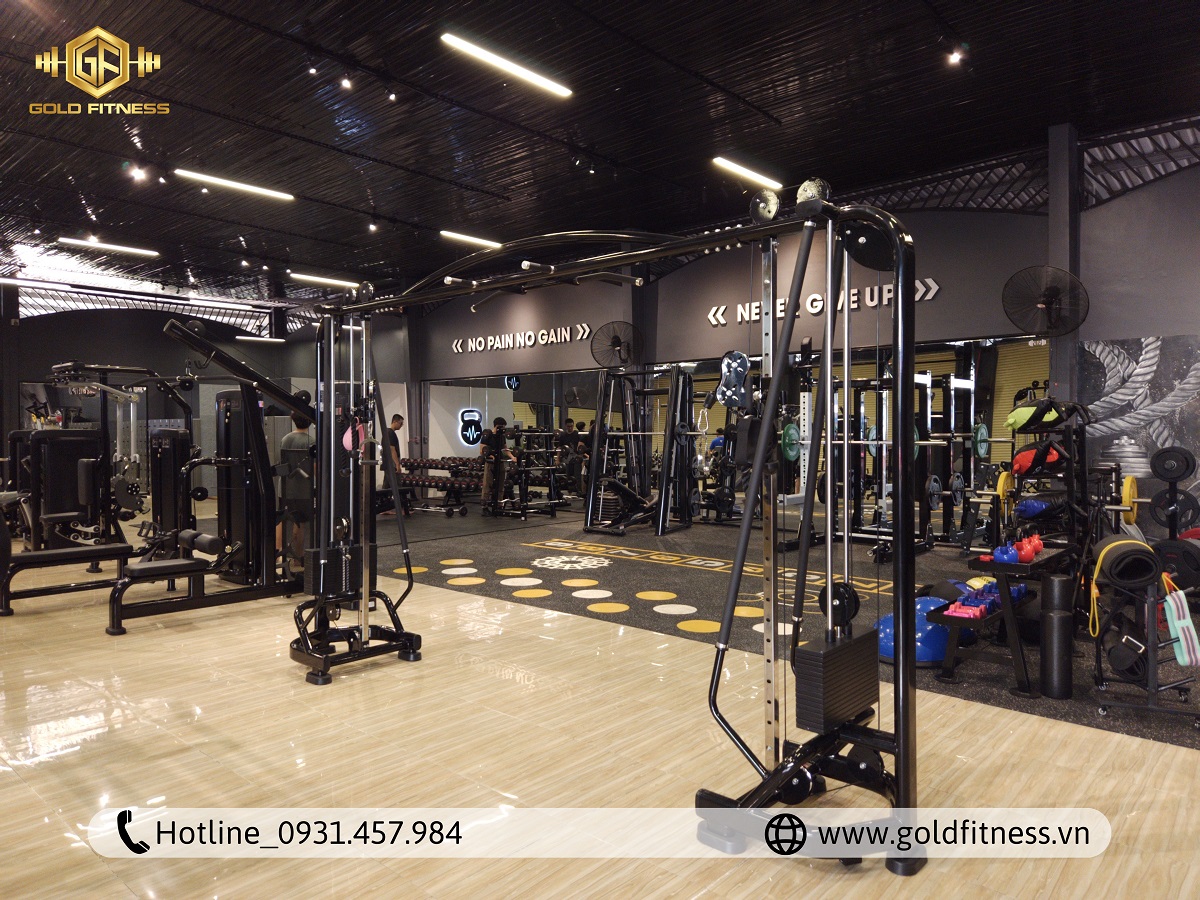 Khám phá bí quyết thiết kế phòng tập gym cao cấp hiện đại, sang trọng, thu hút mọi ánh nhìn.
