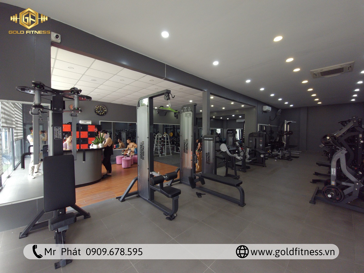 Nên mở phòng gym vào thời điểm nào để bùng nổ doanh thu? Khám phá ngay!