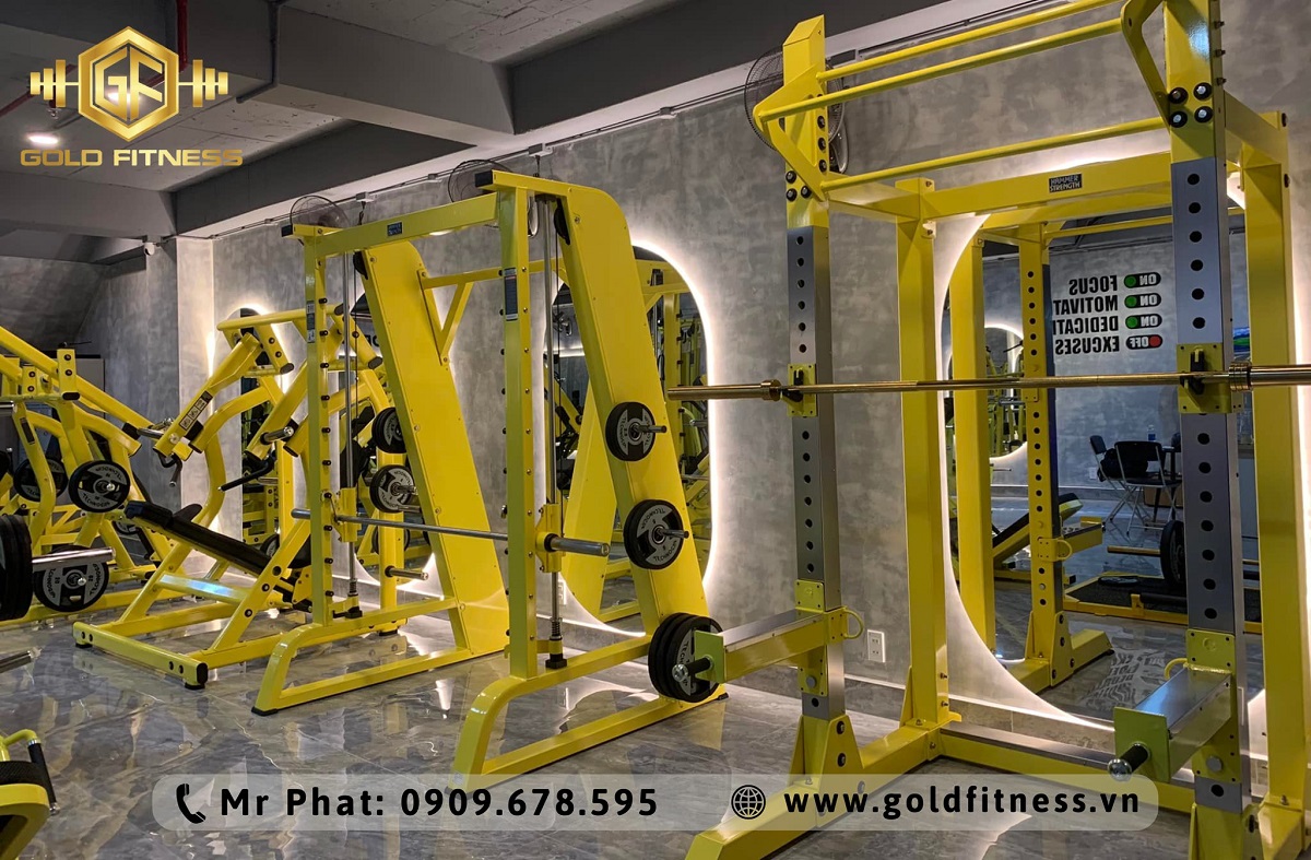 Tối ưu đầu tư, thu hút khách: Phòng gym cao cấp cần thiết bị gì để tạo dấu ấn?