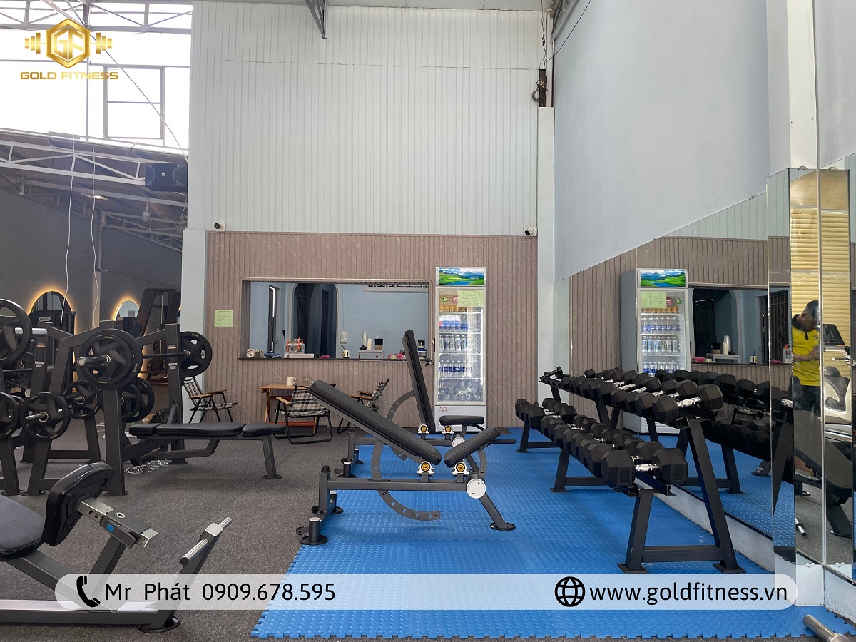 Công ty thiết kế phòng gym chuyên nghiệp kiến tạo không gian tập luyện đẳng cấp.
