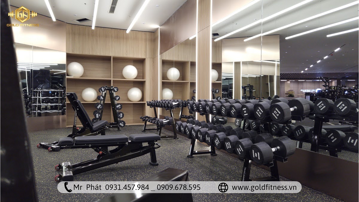 Kinh nghiệm chọn mua thiết bị phòng tập gym bền, đẹp, tiết kiệm chi phí.