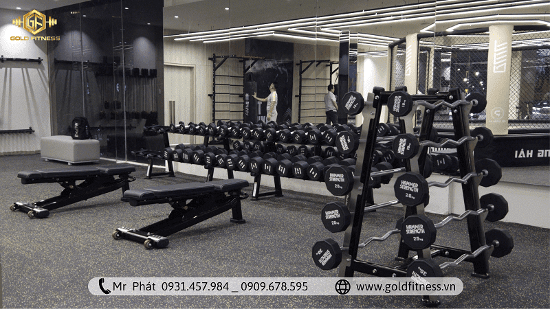 Checklist setup phòng gym nhỏ đầy đủ giúp tối ưu không gian mà vẫn đẳng cấp.
