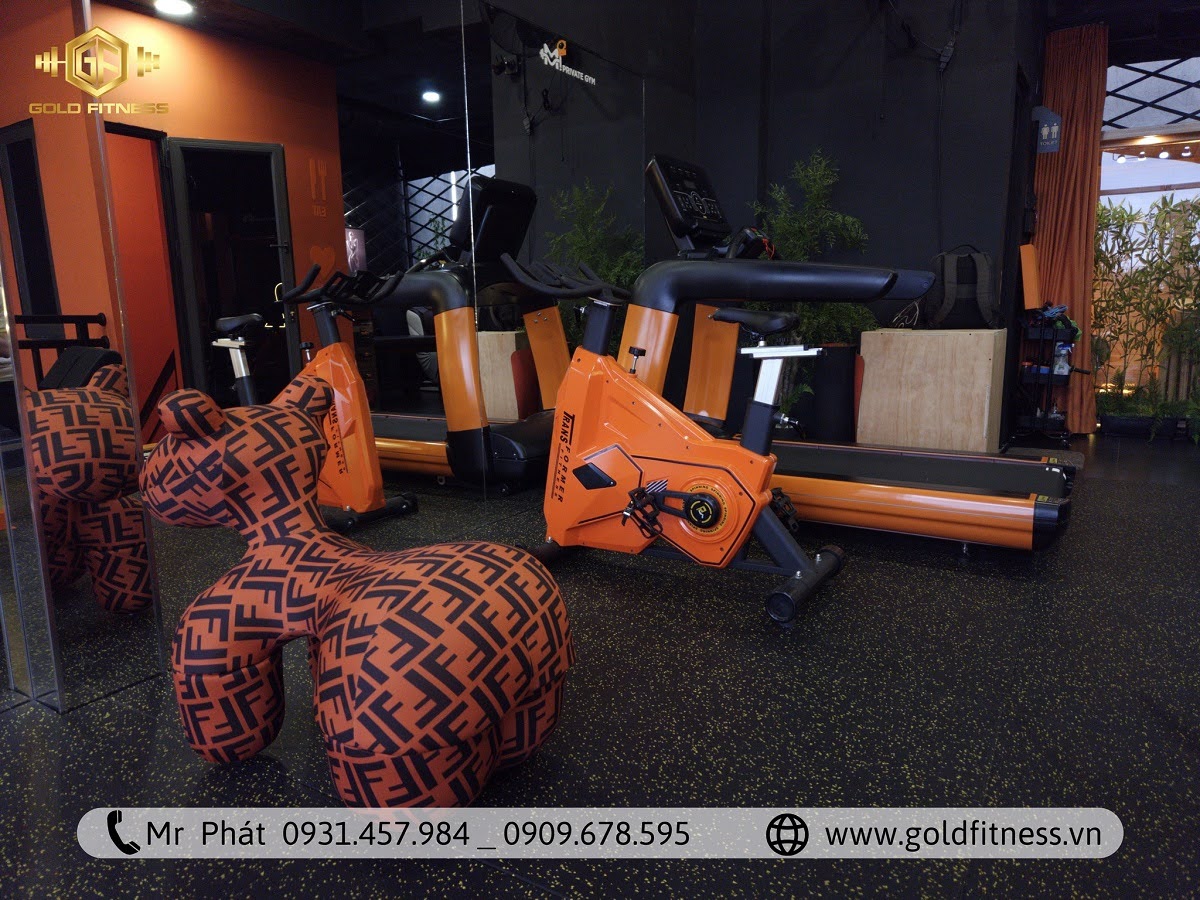 Khám phá ưu nhược điểm khi mua nhượng quyền setup phòng gym cao cấp.
