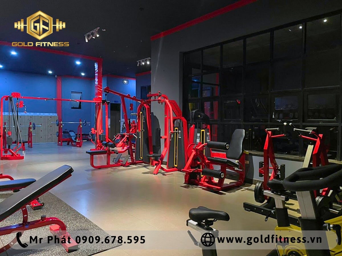 thiết bị phòng gym chất lượng 
