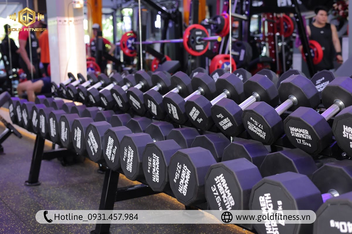 Setup phòng gym doanh nghiệp an toàn, tiết kiệm tại Goldfitness