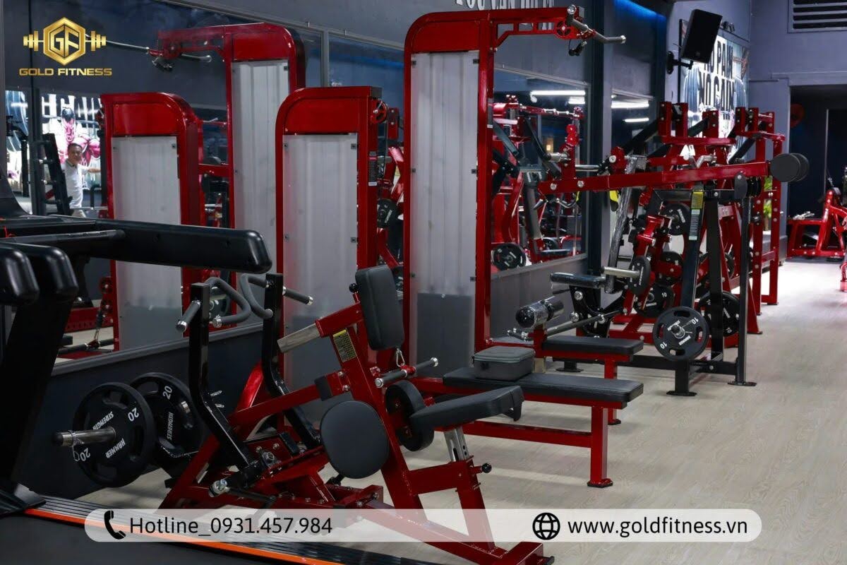 Setup phòng tập gym hiện đại, chất lượng