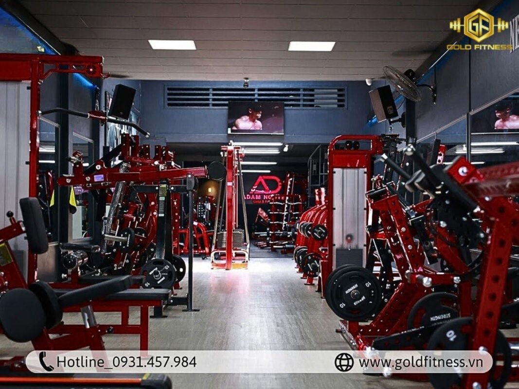 Setup phòng gym cho người mới bắt đầu