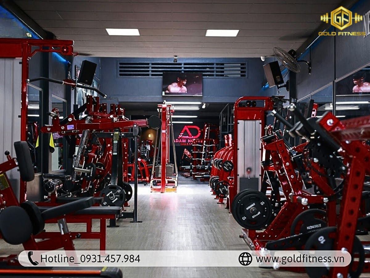 Setup phòng gym cho người mới bắt đầu