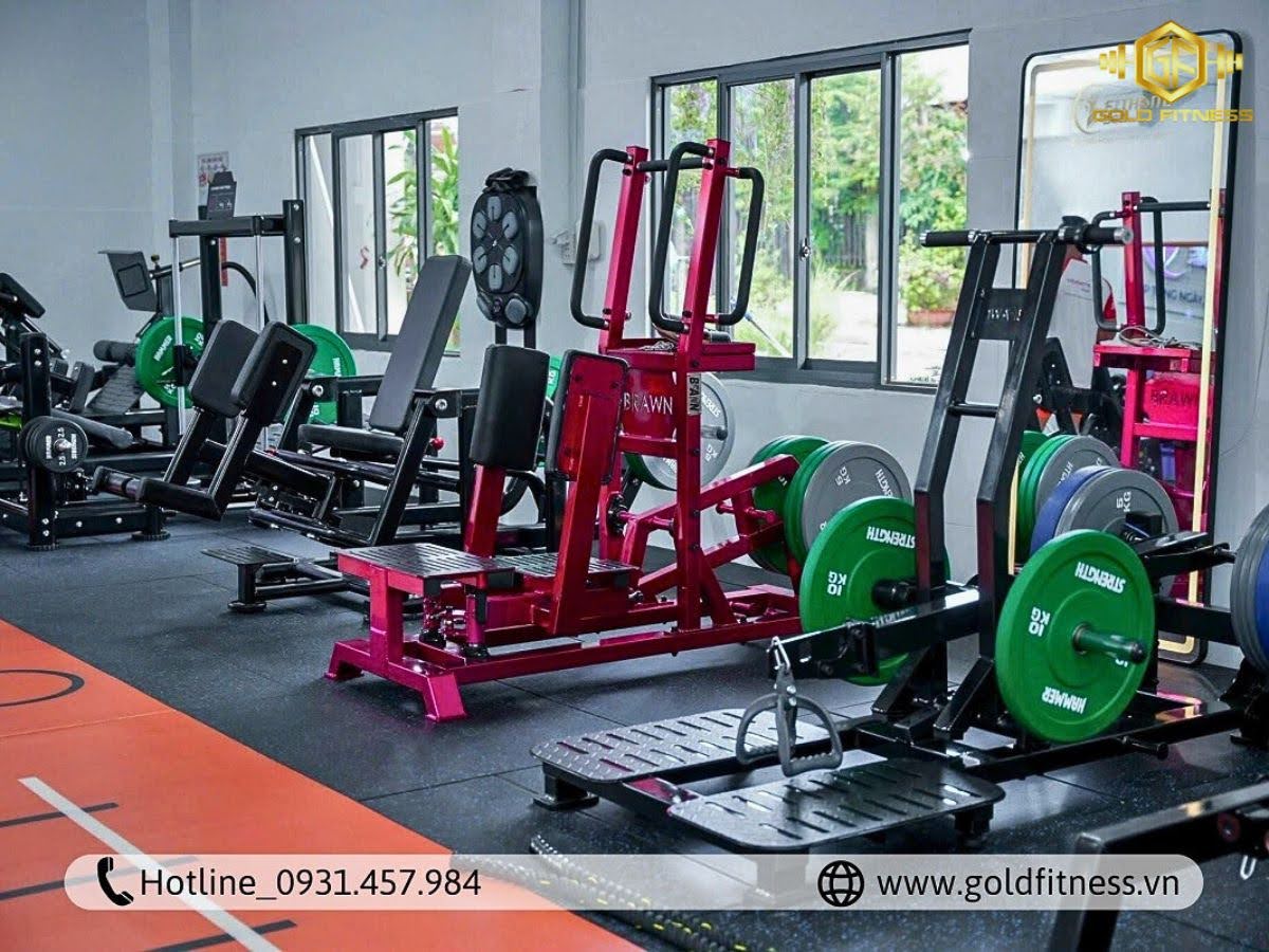 setup phòng gym 50m2