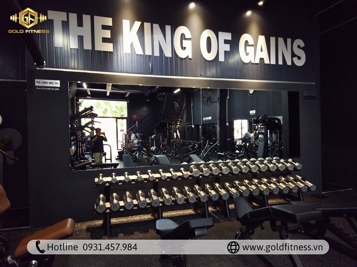 thiết kế layout phòng gym