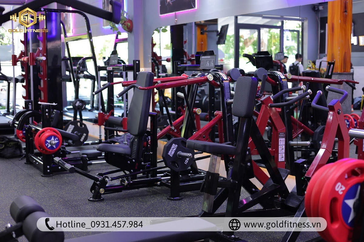 setup phòng gym 50m2