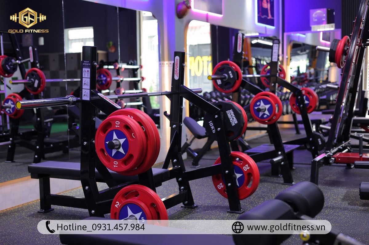 setup phòng gym 200m2. setup phòng gym 200m2.