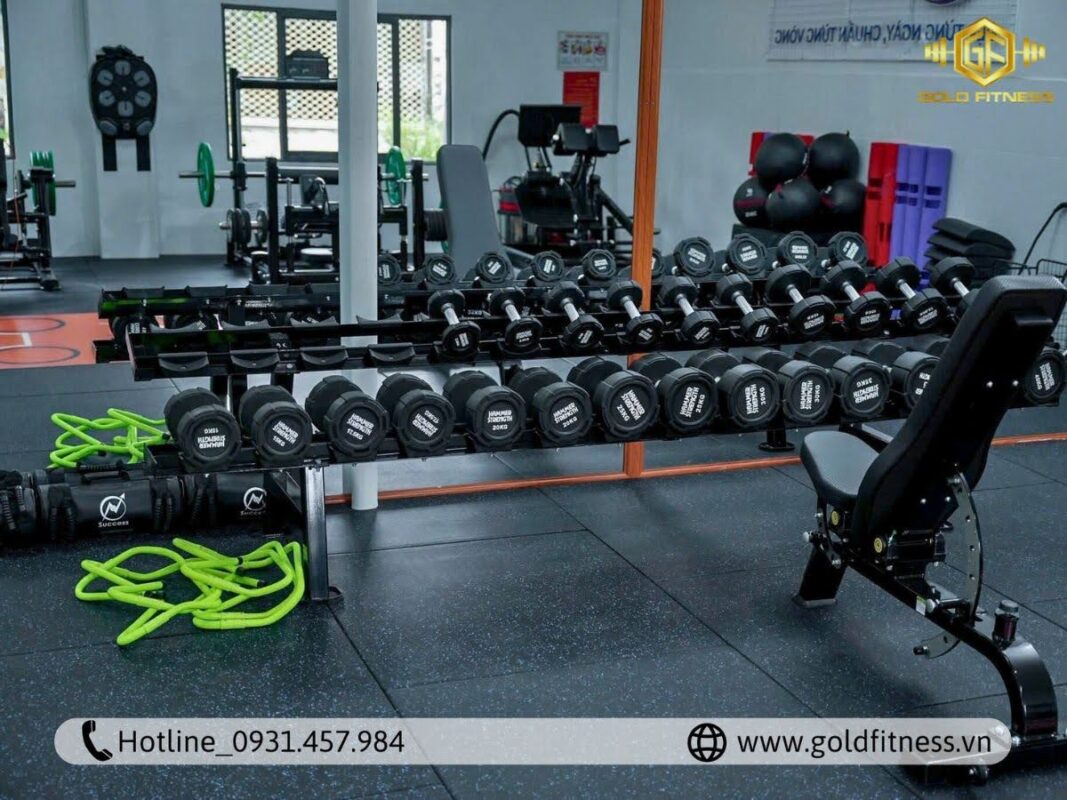 setup phòng gym yoga & fitness