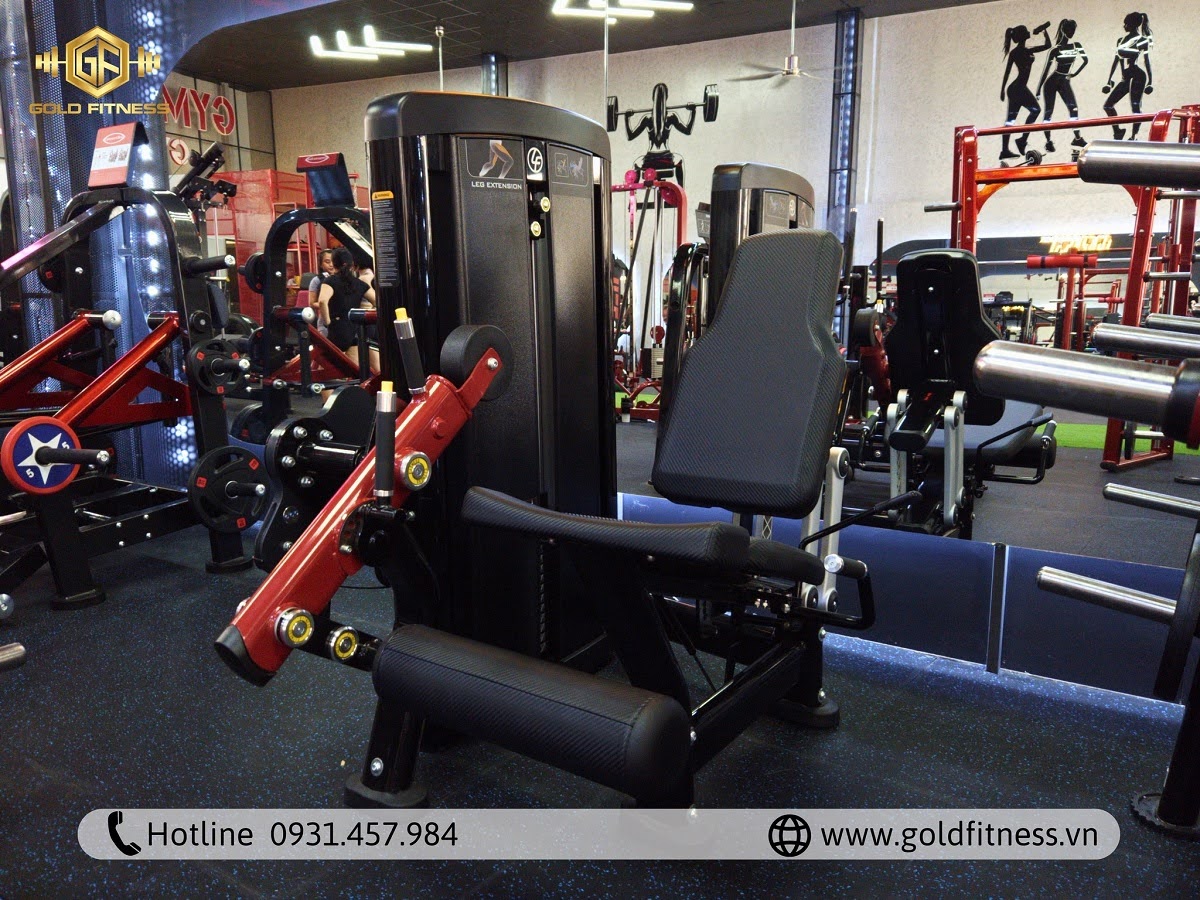 Cơ hội khi đầu tư vào phòng tập gym thanh lý