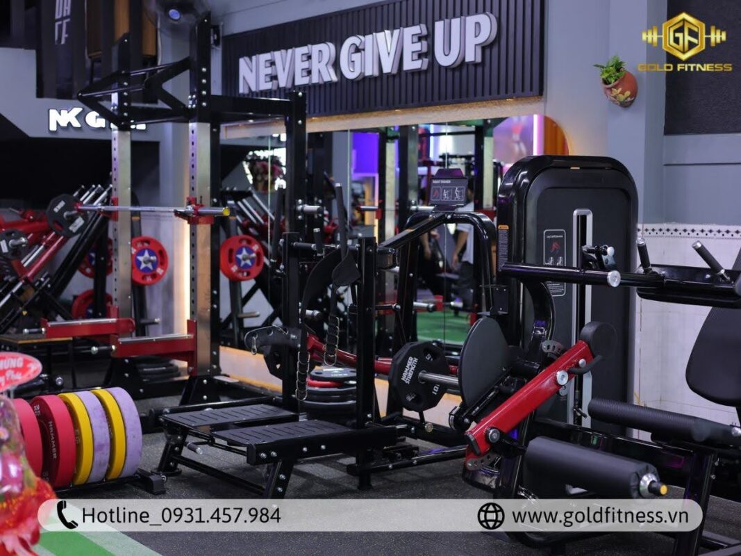 hình ảnh phòng gym đẹp