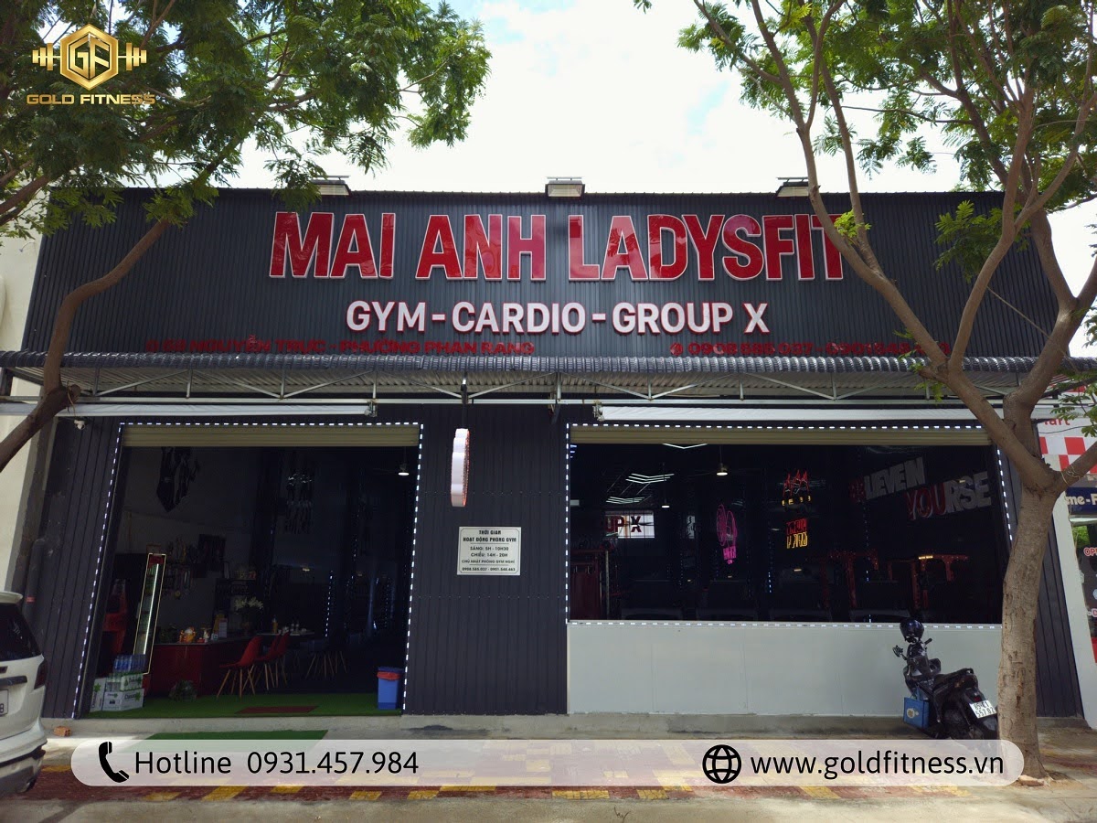 Dự án setup gym tại GoldFitness. 