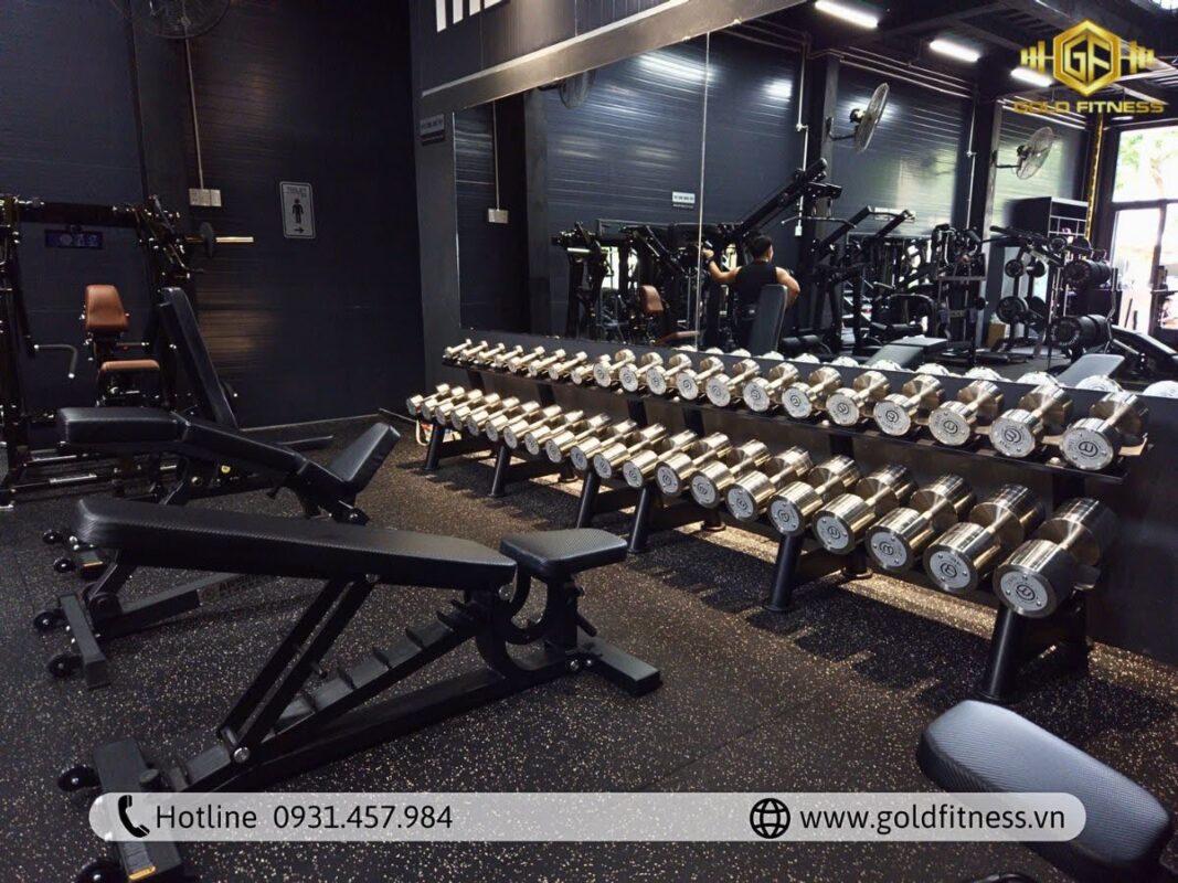 thiết kế phòng gym 100m2
