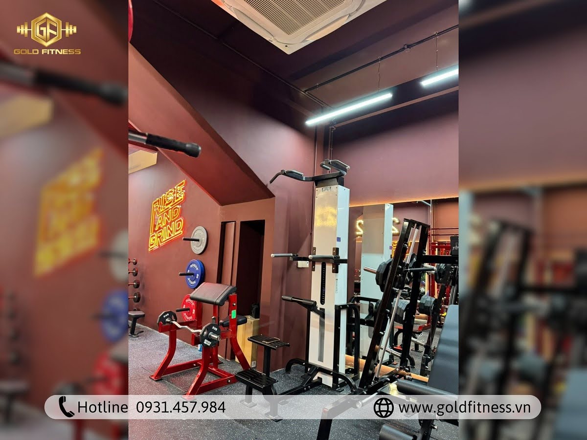 GoldFitness - Đối tác setup phòng tập gym Việt Nam