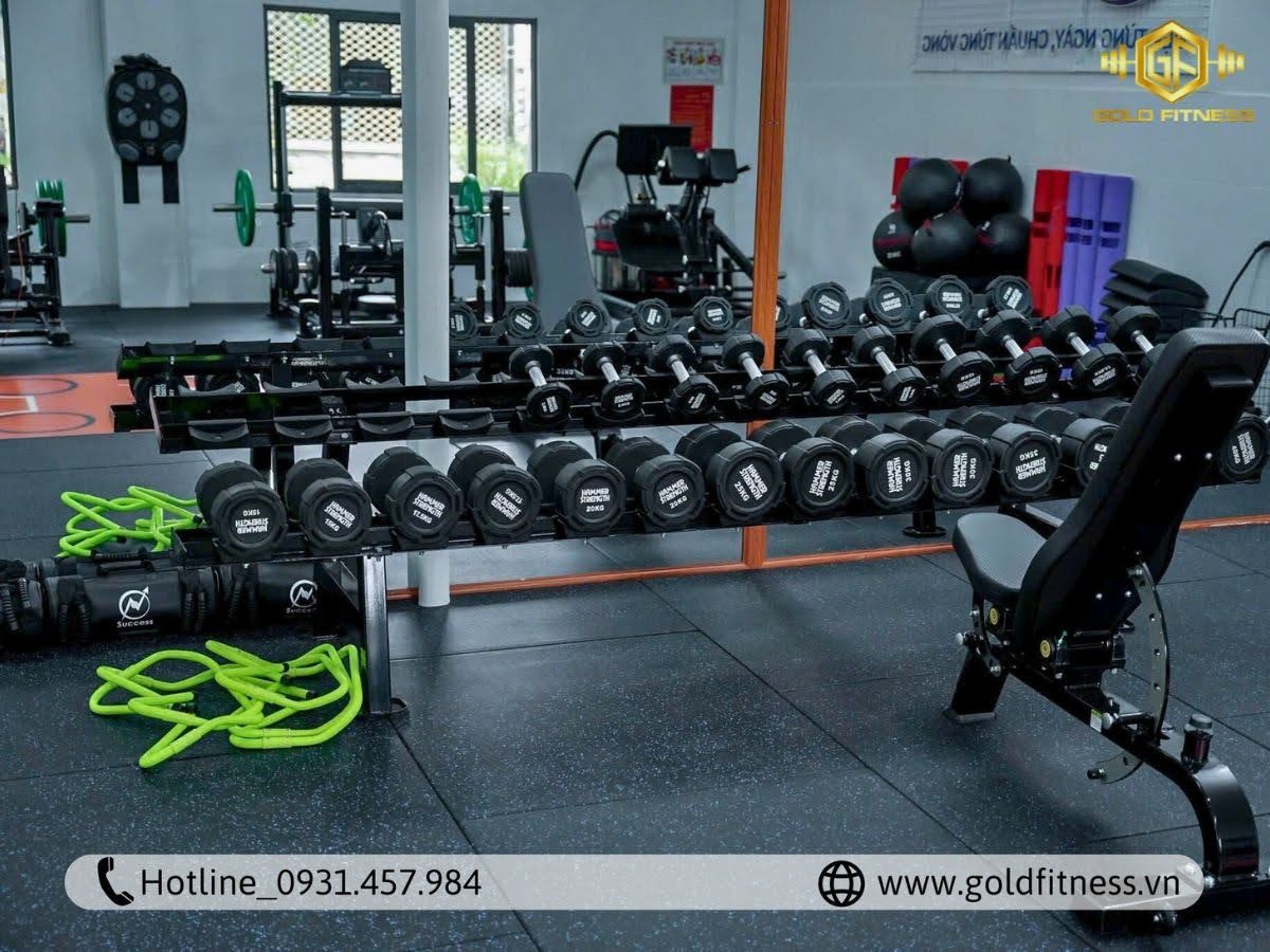 Bố trí đèn phòng gym chống chói