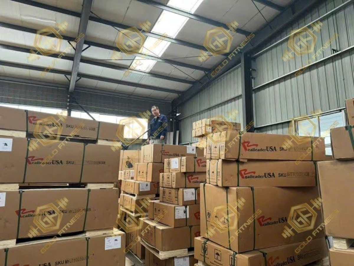 Kho hàng thiết bị gym nhập khẩu sỉ lẻ tại Gold Fitness.