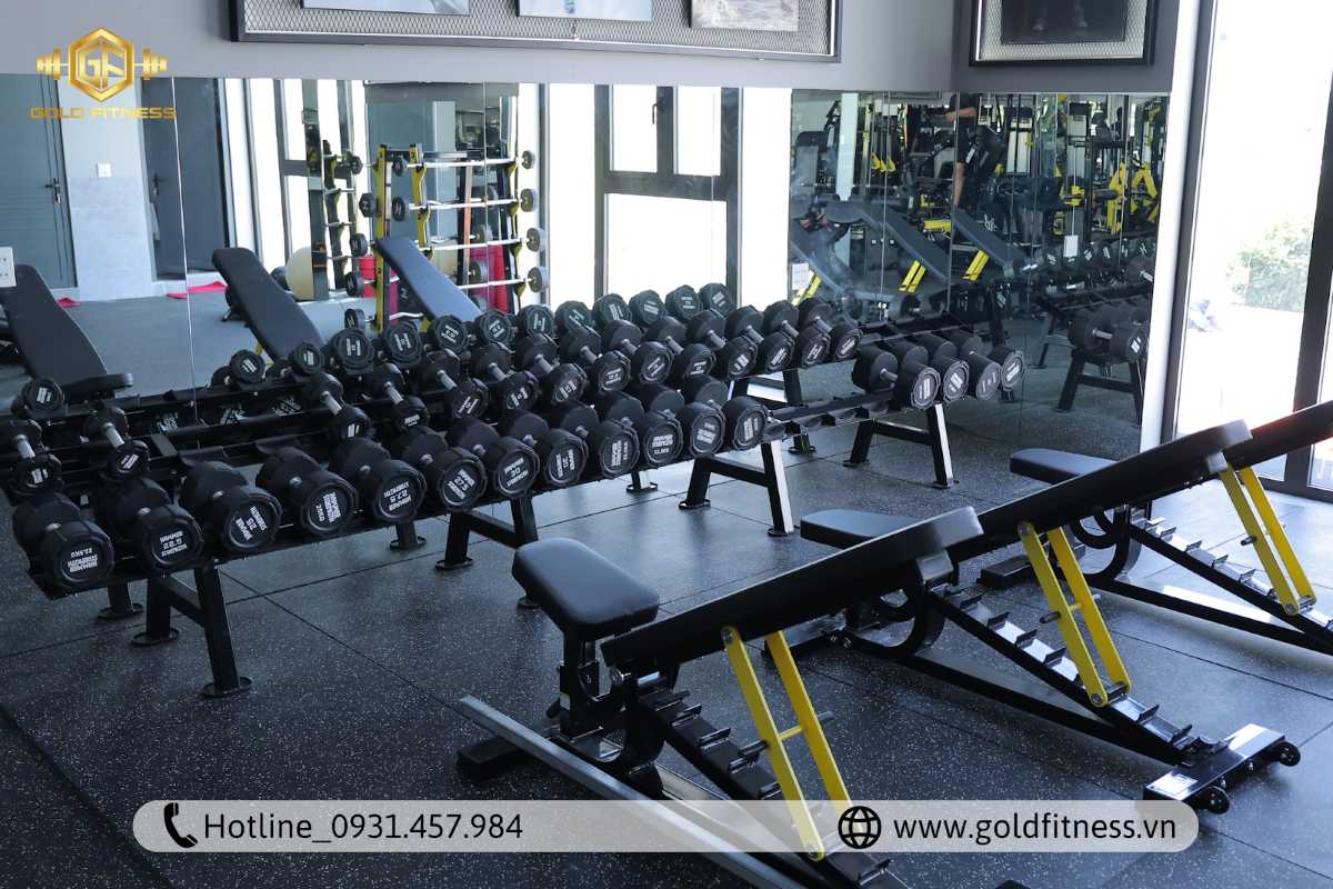 Khu vực thiết bị free weight chuyên nghiệp tại Gold Fitness.
