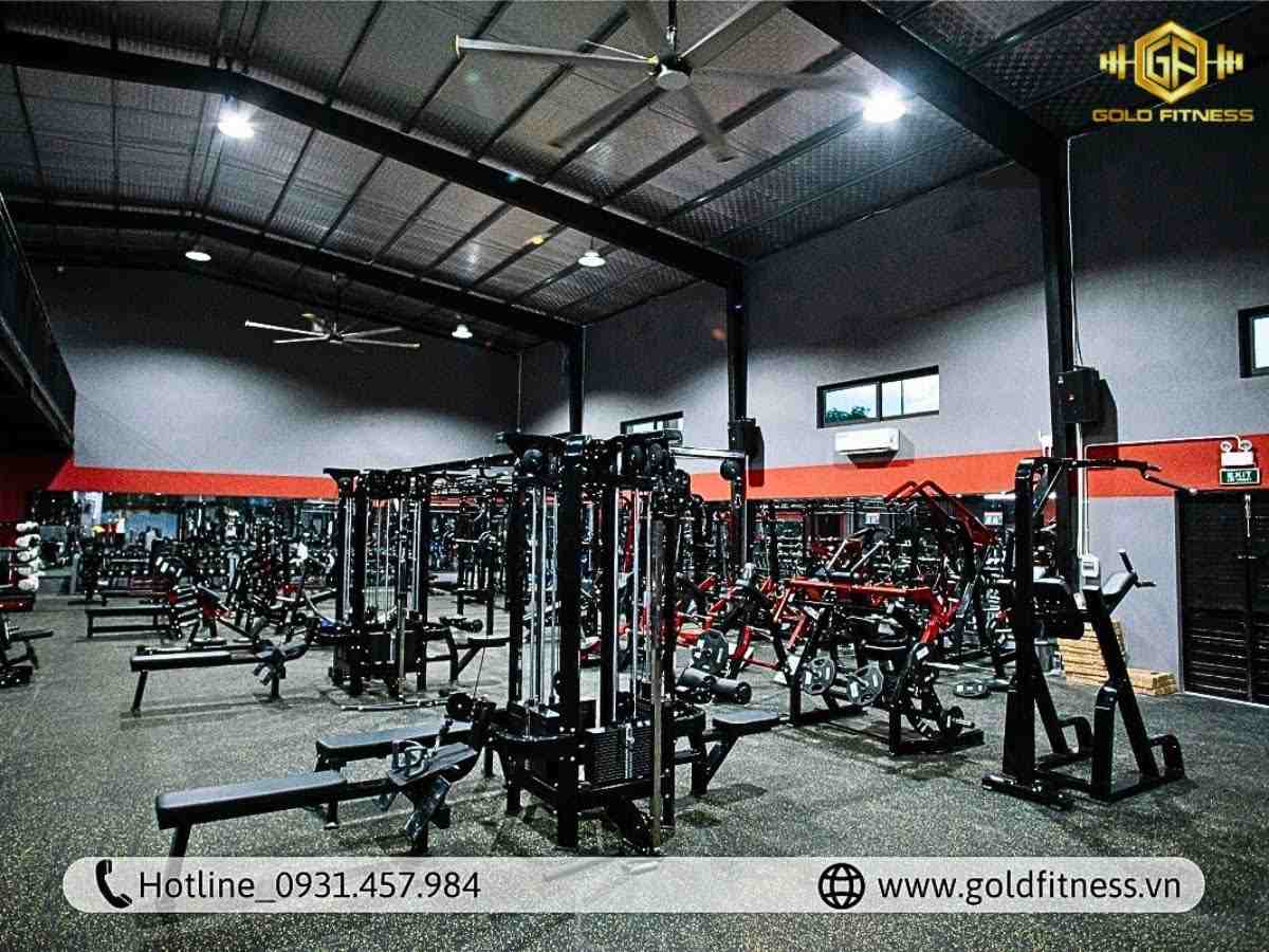 Thiết bị gym nhập khẩu