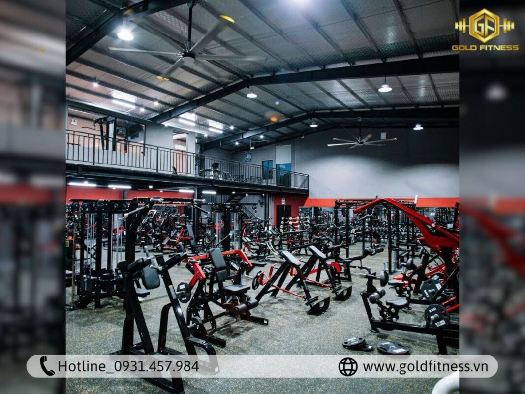 Dụng cụ tập gym TPHCM