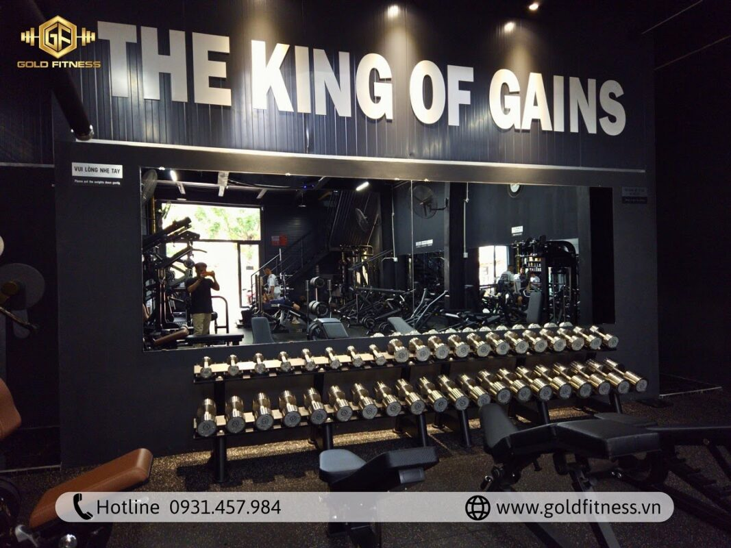 giàn tạ đa năng 3 khối Gold Fitness setup tại resort giàn tạ đa năng 3 khối Gold Fitness setup tại resort