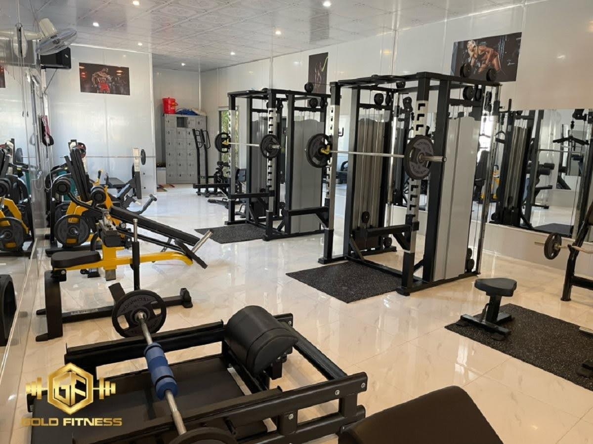 so sánh máy khối và máy tạ đĩa tại Gold Fitness