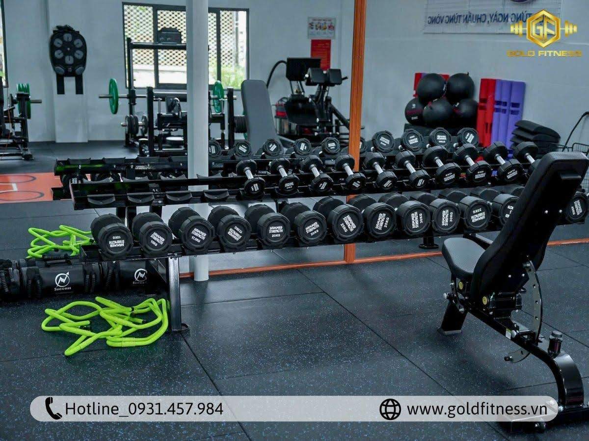 thiết bị free weight tối ưu chi phí