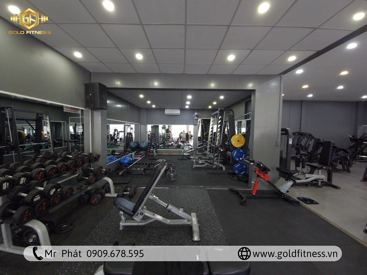 setup phòng gym 300m2 - 500m2