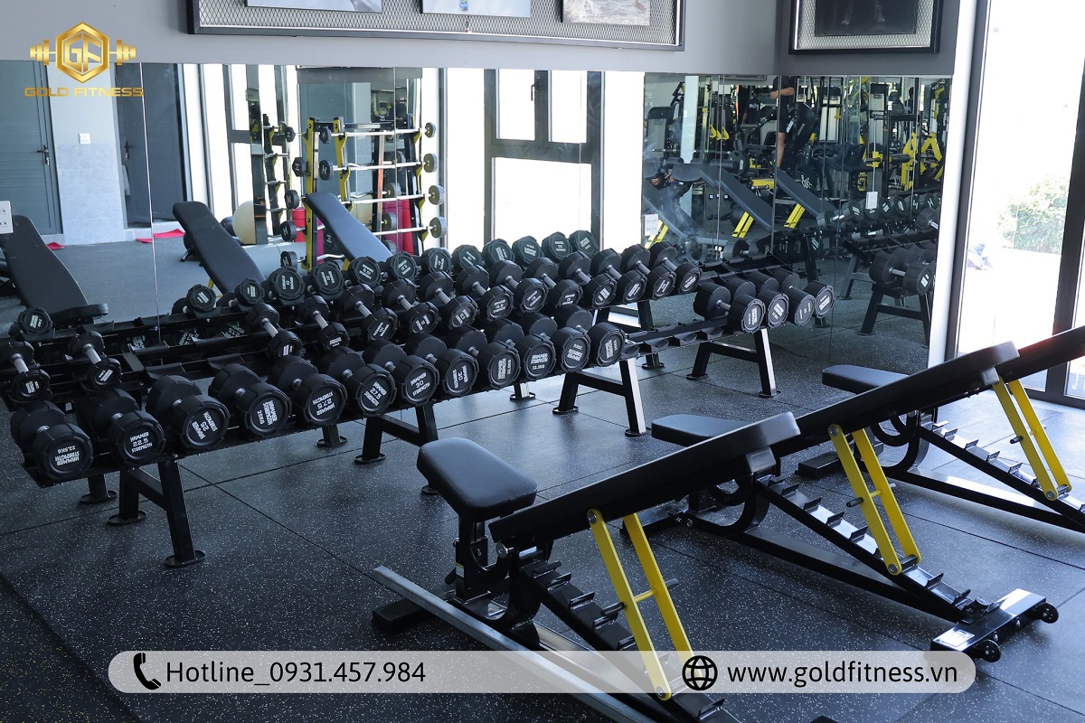 Setup phòng gym Powerlifting (1) Setup phòng gym Powerlifting (1)